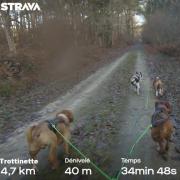 Mushing with four Leavitt