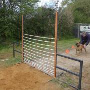 Cutty coconuts aka Boston Hedge jump