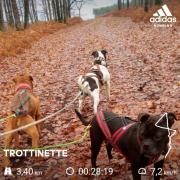 Trio en trottinette