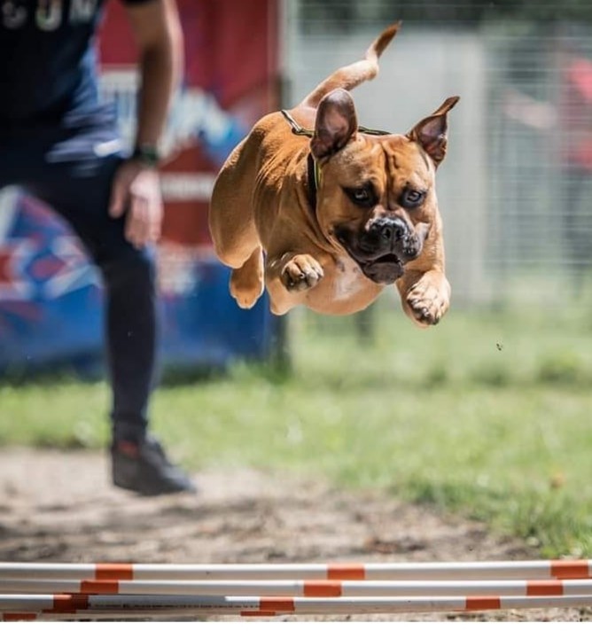 Oldexodebull s cutty coconuts aka boston long jump