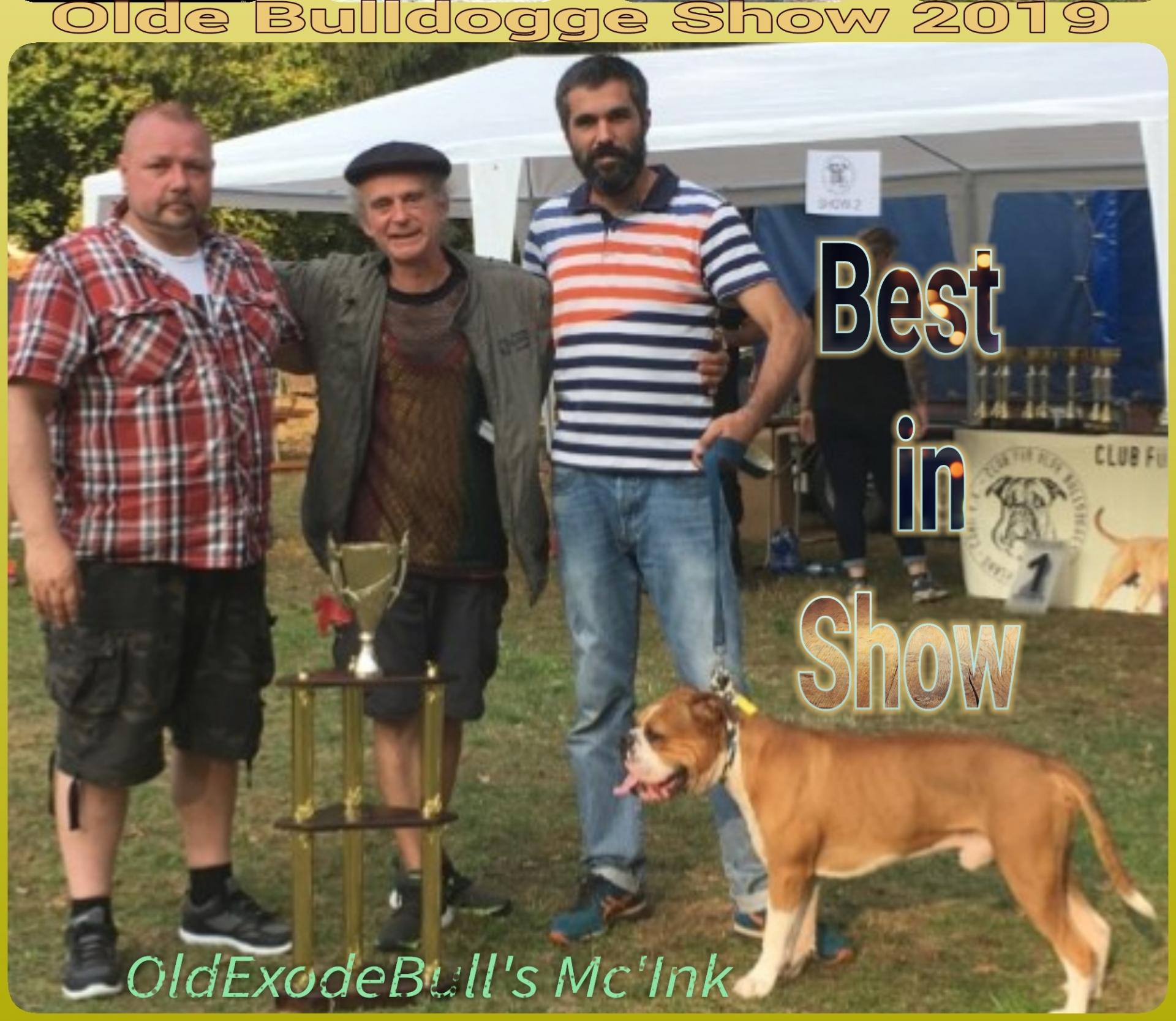 Oldexodebull s mc ink best in show 2019 2