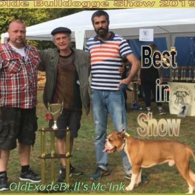 Oldexodebull s mc ink best in show 2019 2